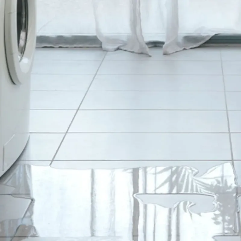 Appliance Leak Cleanup in King William, VA