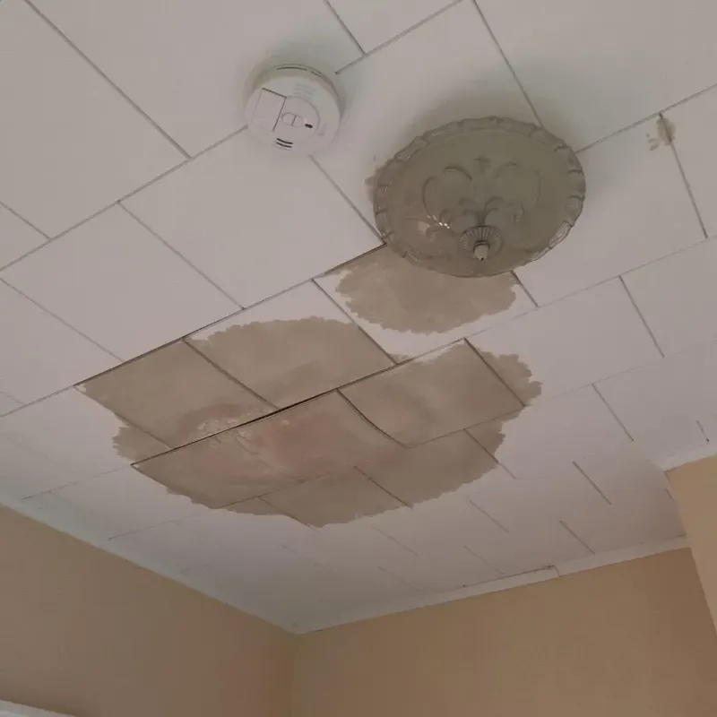 Ceiling Water Damage Repair in King William, VA