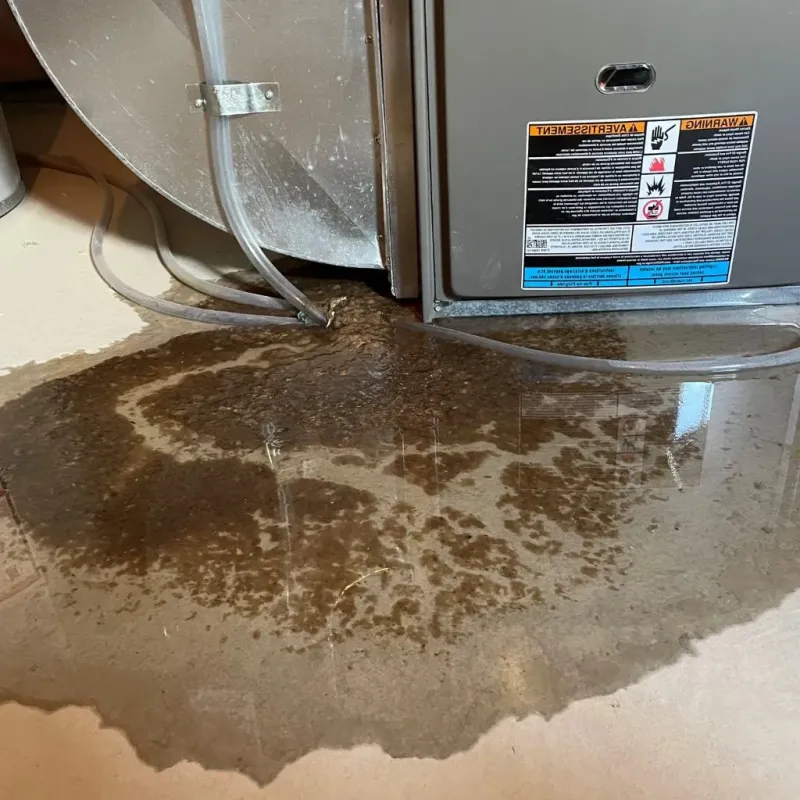 Pipe Burst and Leak Restoration in King William, VA
