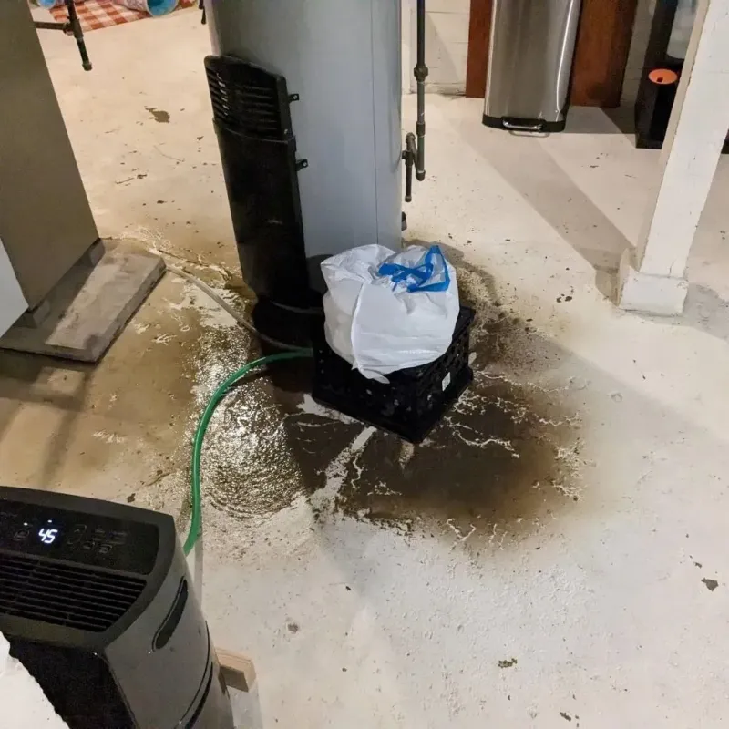 Sewage Backup Cleanup Service in King William, VA